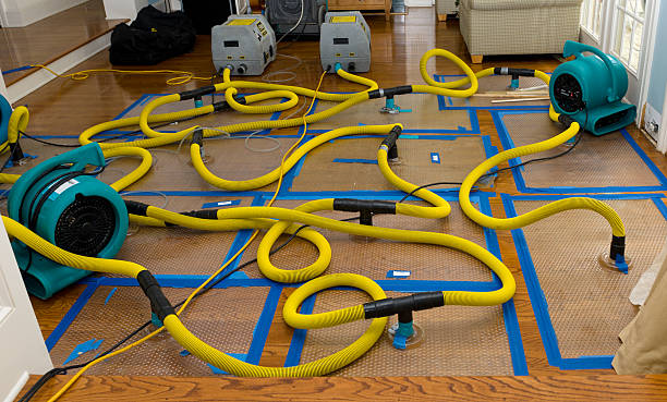 Professional Basement Flood Cleanup technician working in Blessing, TX